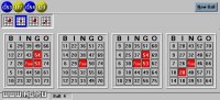 Cкриншот Expert Bingo, изображение № 335883 - RAWG