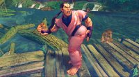 Cкриншот Street Fighter 4, изображение № 491059 - RAWG