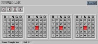 Cкриншот Expert Bingo, изображение № 335882 - RAWG