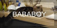 Cкриншот BABABOY BUTTON, изображение № 2576266 - RAWG