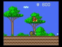 Cкриншот Alex Kidd in the Enchanted Castle, изображение № 248749 - RAWG