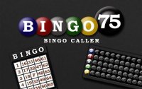 Cкриншот Bingo 75, изображение № 2086513 - RAWG