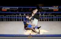 Cкриншот CHIKARA: Action Arcade Wrestling, изображение № 2130541 - RAWG