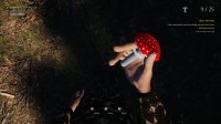 Cкриншот Mushroom Picker Simulator, изображение № 2525027 - RAWG