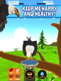 Cкриншот Virtual Pet Eagle, изображение № 956933 - RAWG