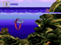 Cкриншот SEGA Mega Drive Classic Collection Volume 2, изображение № 571813 - RAWG