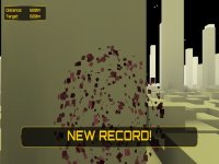 Cкриншот Rapid Flight, изображение № 1843856 - RAWG