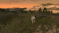 Cкриншот WolfQuest: Classic, изображение № 3589951 - RAWG