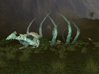 Cкриншот EverQuest: Secrets of Faydwer, изображение № 483136 - RAWG