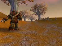 Cкриншот World of Warcraft, изображение № 351801 - RAWG