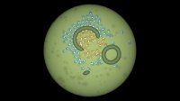 Cкриншот Petri Dish, изображение № 2560503 - RAWG