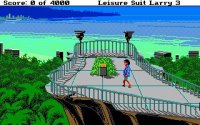 Cкриншот Leisure Suit Larry III: Passionate Patti in Pursuit of the Pulsating Pectorals, изображение № 744751 - RAWG