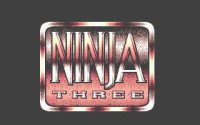 Cкриншот Last Ninja 3, изображение № 746534 - RAWG