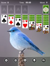 Cкриншот Solitaire Card Game by Mint, изображение № 2946812 - RAWG