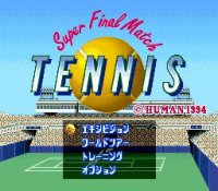 Cкриншот Final Match Tennis, изображение № 765115 - RAWG