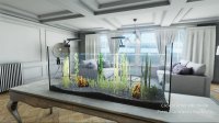 Cкриншот Aquarist - My First Job, изображение № 3025393 - RAWG