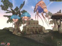 Cкриншот The Elder Scrolls III: Morrowind, изображение № 289943 - RAWG