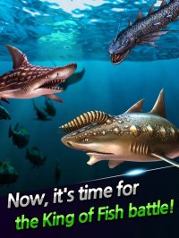 Cкриншот Ace Fishing: Wild Catch, изображение № 917214 - RAWG