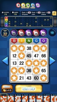 Cкриншот Bingo Master King, изображение № 1578901 - RAWG