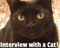 Cкриншот Interview with a Cat!, изображение № 1895132 - RAWG