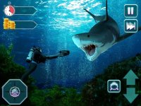 Cкриншот My Hungry Survival Shark Game, изображение № 2746933 - RAWG