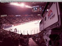 Cкриншот NHL Hockey '95, изображение № 297001 - RAWG