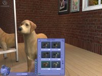 Cкриншот Sims 2: Питомцы, The, изображение № 457903 - RAWG