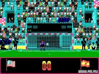 Cкриншот World Cup Soccer '90, изображение № 338880 - RAWG