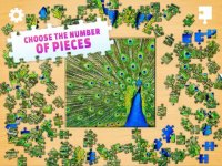 Cкриншот Jigsaw Puzzle, изображение № 2036683 - RAWG