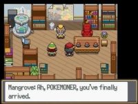 Cкриншот Pokémon Sage, изображение № 3230585 - RAWG