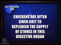 Cкриншот Jeopardy! 2003, изображение № 313888 - RAWG
