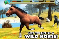 Cкриншот Wild Horse Simulator, изображение № 2104642 - RAWG