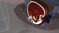 Cкриншот The Body VR: Anatomy Viewer, изображение № 100718 - RAWG
