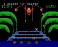 Cкриншот Donkey Kong 3, изображение № 822793 - RAWG