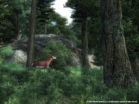 Cкриншот The Elder Scrolls IV: Oblivion Game of the Year Edition, изображение № 138542 - RAWG