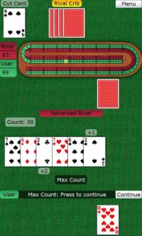 Cкриншот BTO Cribbage, изображение № 2084444 - RAWG