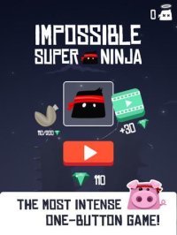 Cкриншот Impossible Super Ninja, изображение № 2043534 - RAWG