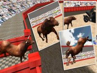 Cкриншот Angry Bull Fighter Simulator 3D, изображение № 917759 - RAWG