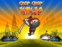 Cкриншот Chop Chop Ninja, изображение № 13315 - RAWG