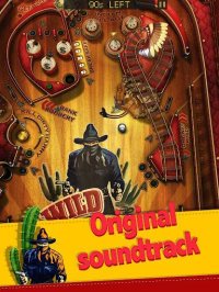 Cкриншот Wild West Pinball, изображение № 1354274 - RAWG