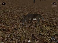 Cкриншот Deer Hunter 2003, изображение № 346800 - RAWG