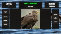 Cкриншот Fitzzle Majestic Eagles, изображение № 846539 - RAWG