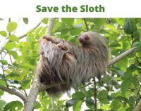 Cкриншот Save the Sloth - Lexi Olsen, изображение № 2227259 - RAWG