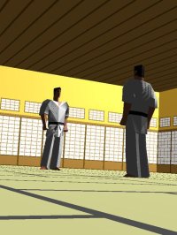 Cкриншот touch Karate (Universal), изображение № 1808600 - RAWG