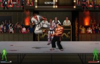 Cкриншот Karate Master 2 Knock Down Blow, изображение № 136681 - RAWG