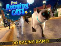 Cкриншот Running Cats - Survive The Free Kitty Cat Simulator, изображение № 1762185 - RAWG