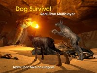 Cкриншот Dog Survival Simulator, изображение № 2327819 - RAWG