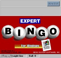 Cкриншот Expert Bingo, изображение № 335884 - RAWG
