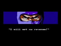 Cкриншот Ninja Gaiden (1988), изображение № 783557 - RAWG