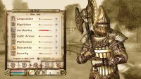 Cкриншот The Elder Scrolls IV: Oblivion, изображение № 699280 - RAWG